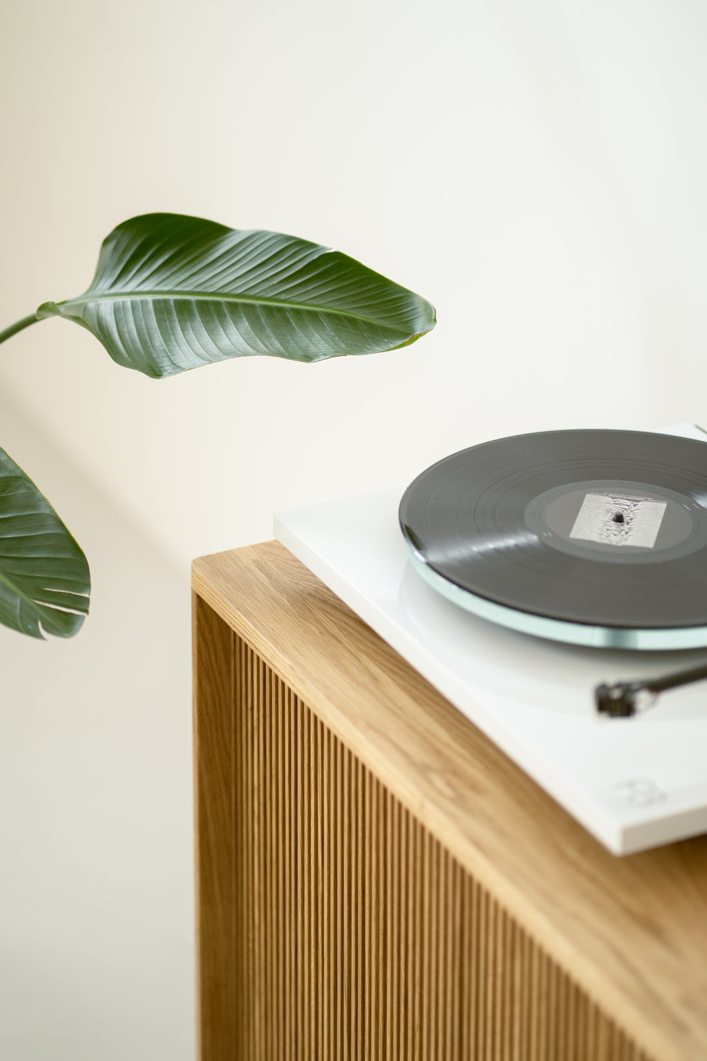 A vinyl record on a turntable next to a wooden cabinet and a large green leaf.