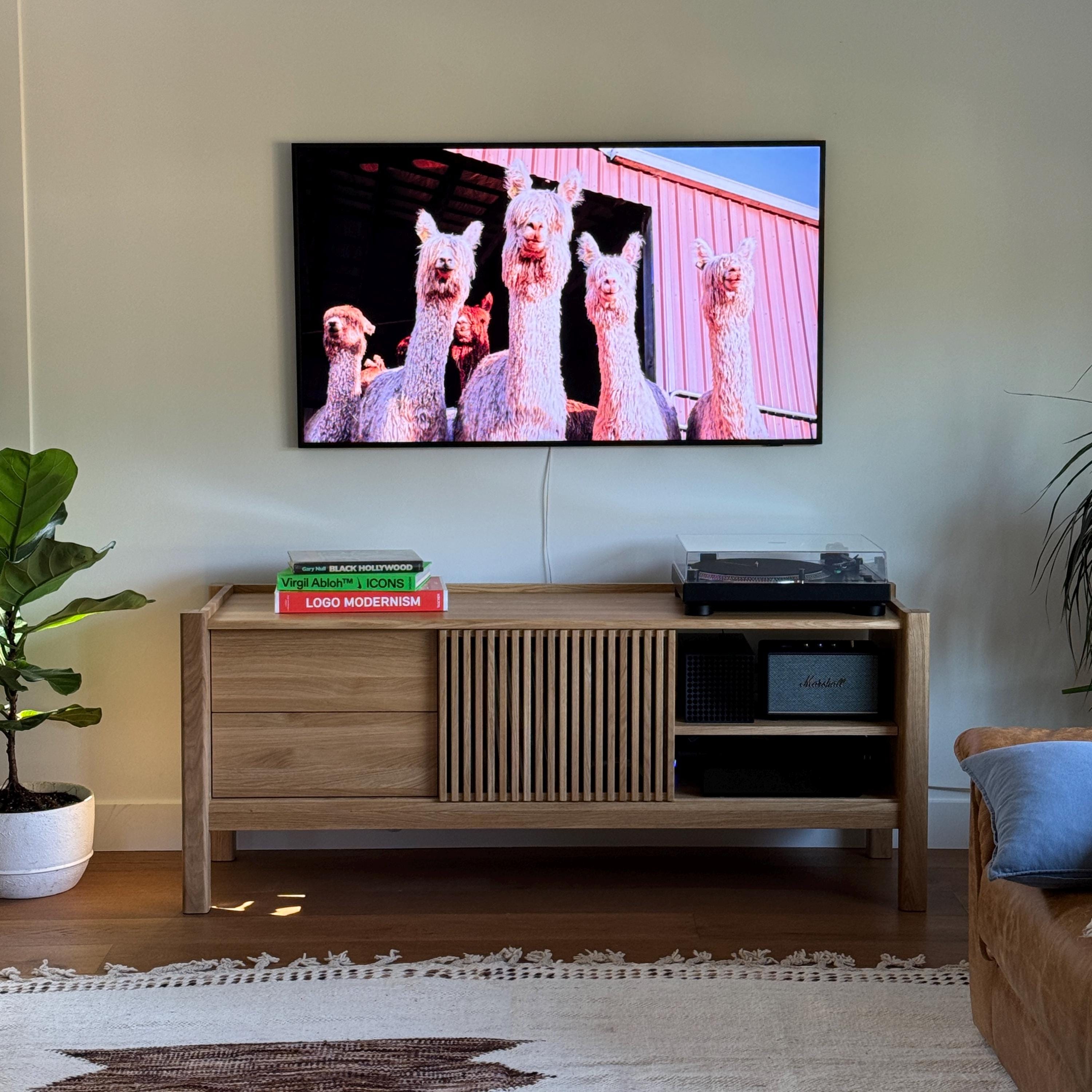 A television on the wall displaying llamas. On the wooden cabinet, there are books and audio equipment. A potted plant is next to it.
