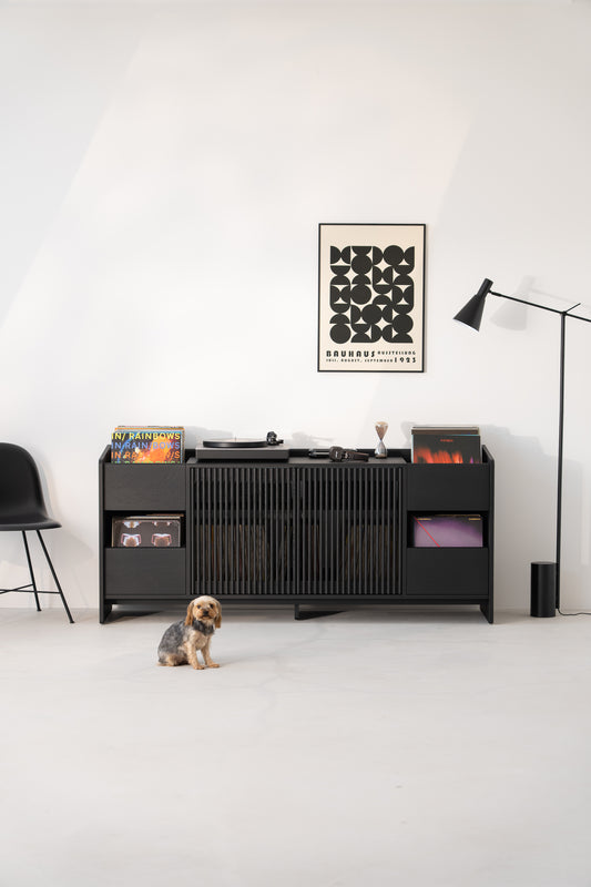 Room with a black cabinet, vinyl records, Bauhaus poster, floor lamp, chair, and a small dog on the floor.