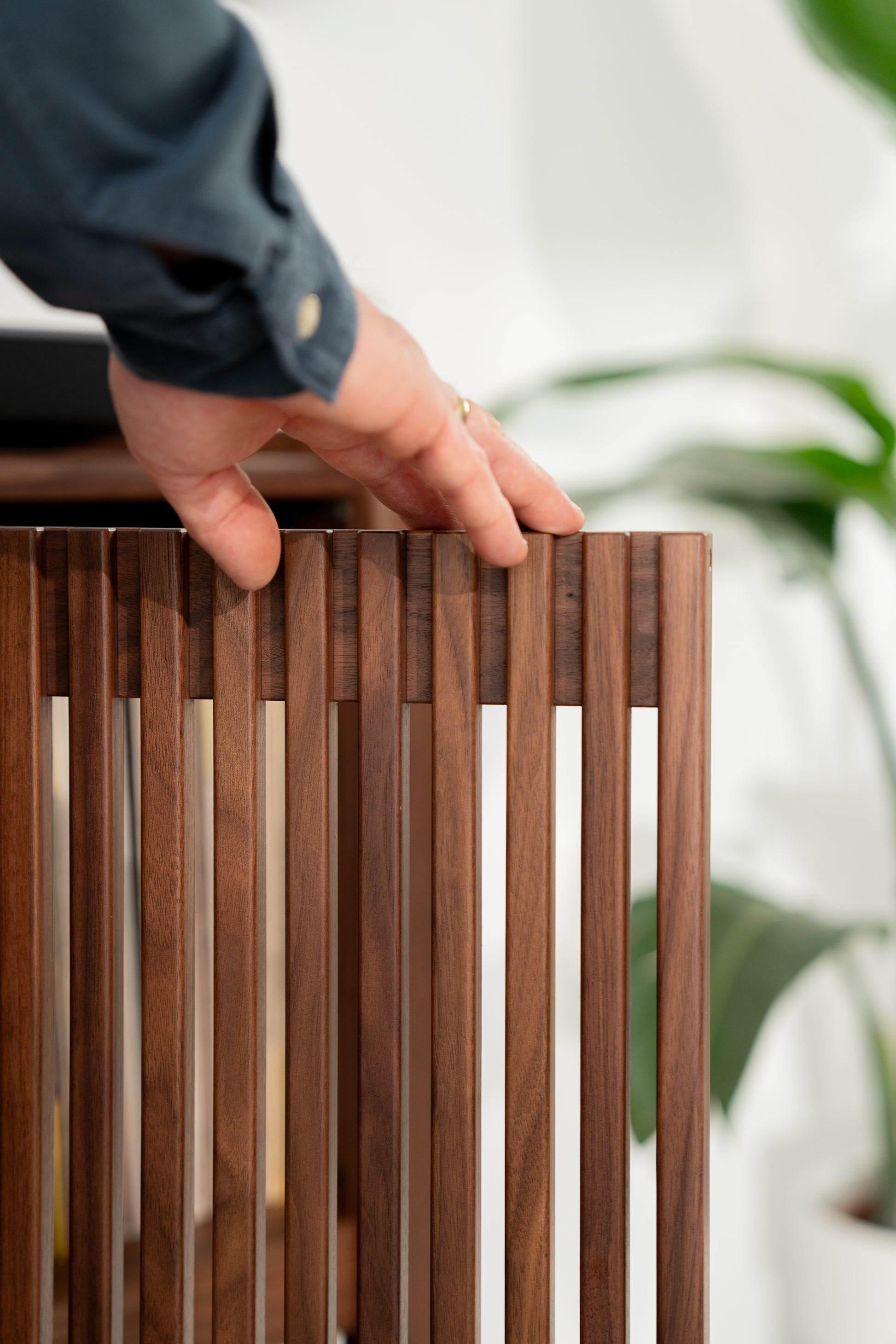 Hand touching a wooden slatted surface with a plant in the background.