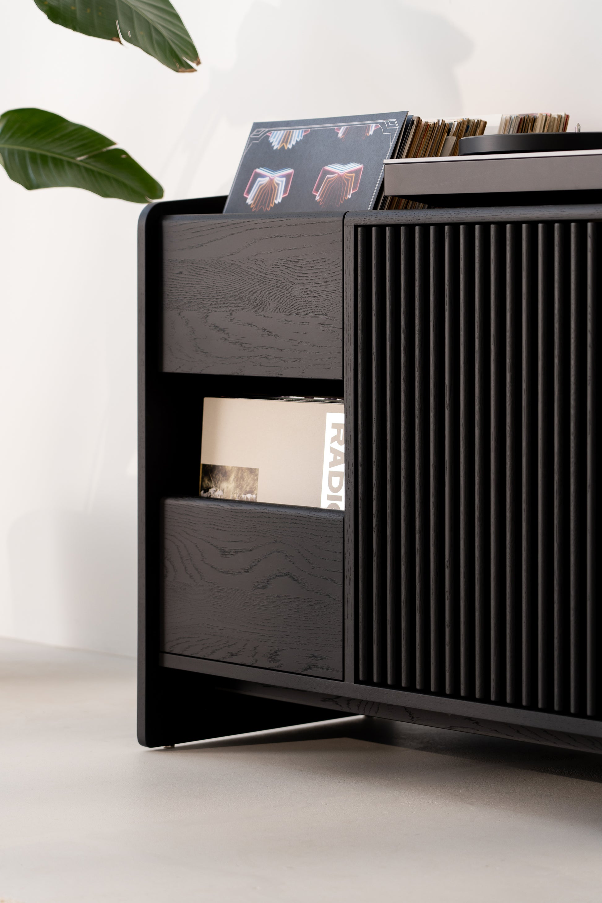 Black sideboard with vinyl records and indoor plant.