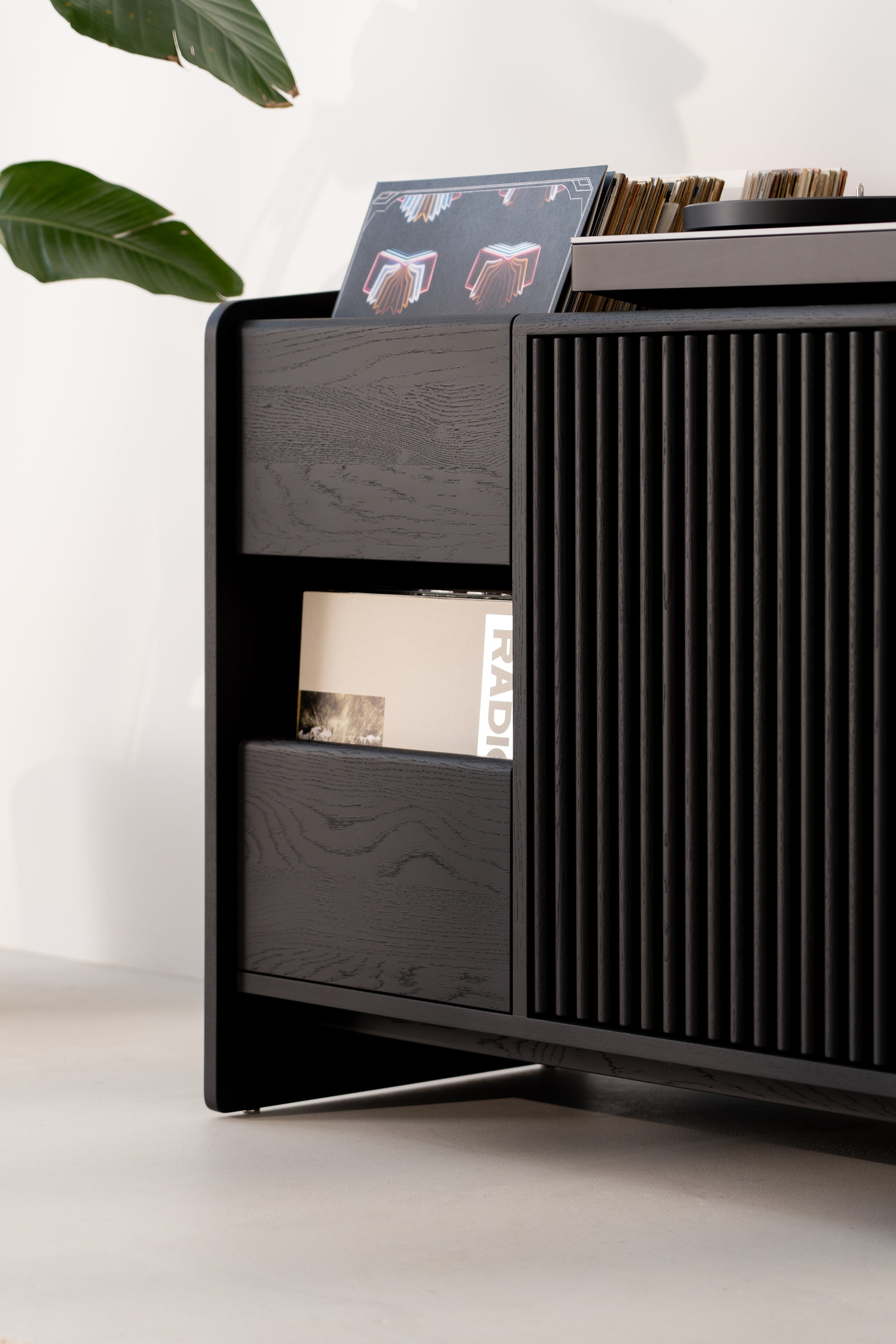 Black sideboard with vinyl records and indoor plant.