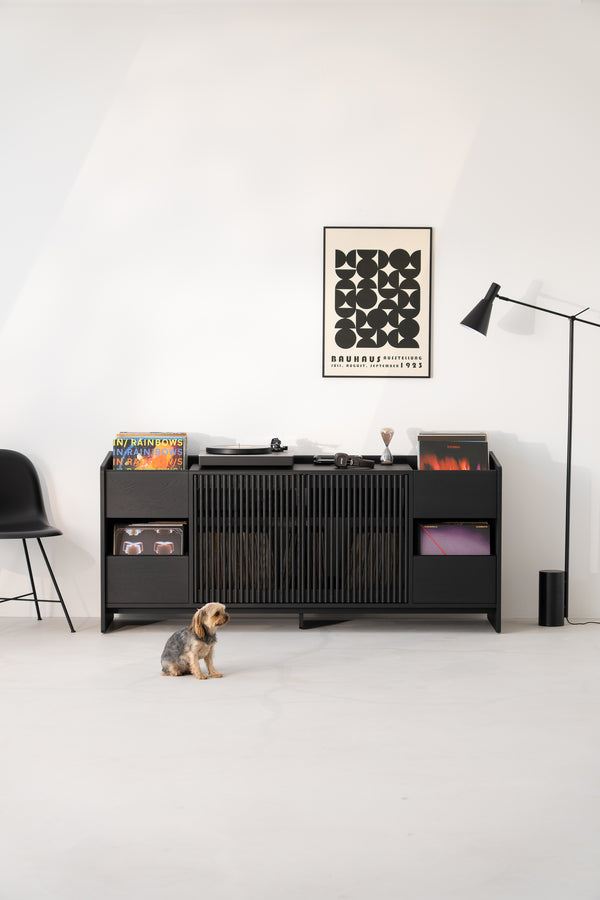 Minimalist room with a black sideboard, turntable, records, Bauhaus poster, and a small dog on the floor.