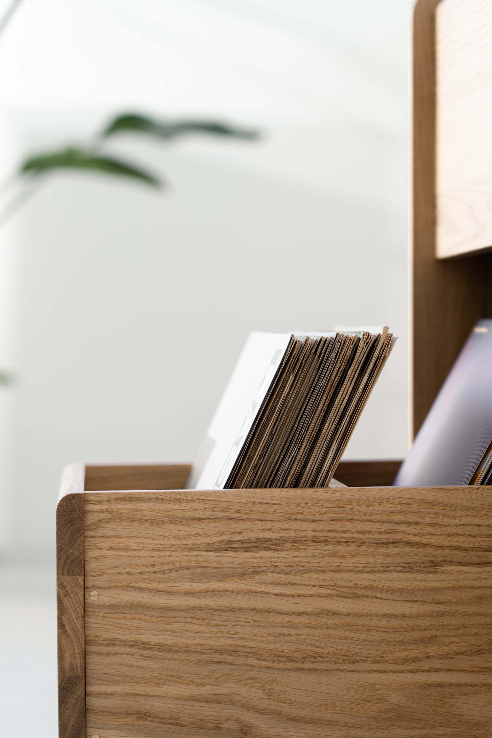 A stack of vinyls in a wooden organizer, with a blurred plant in the background.