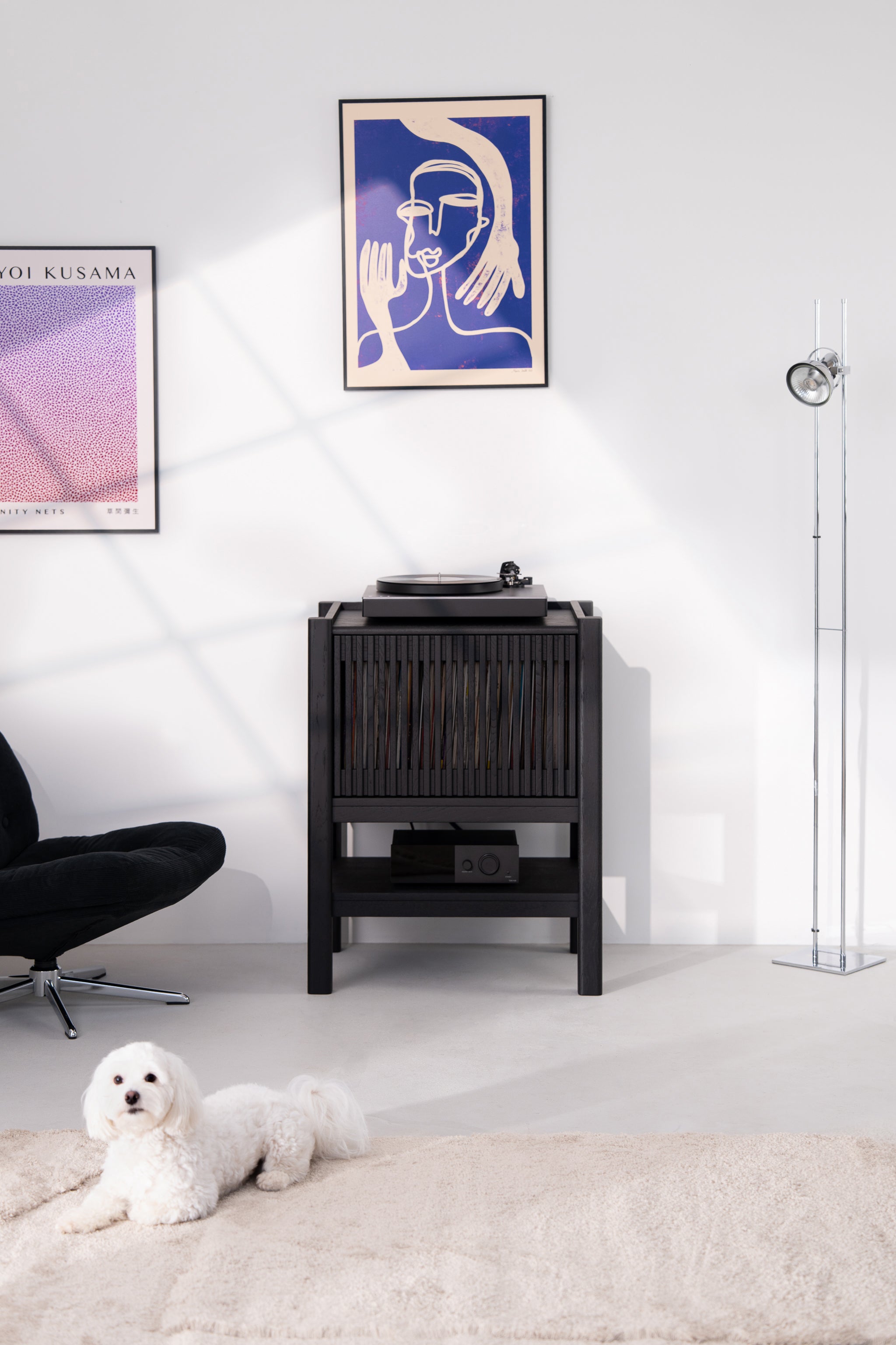 Dog on a rug in a modern living room with vinyl player, armchair, and abstract art on the wall.